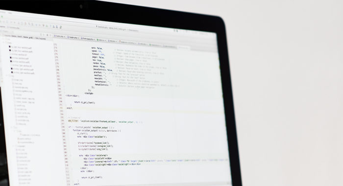 WordPress Programmierung
