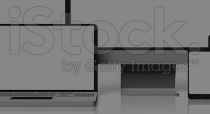 WordPress Programmierung