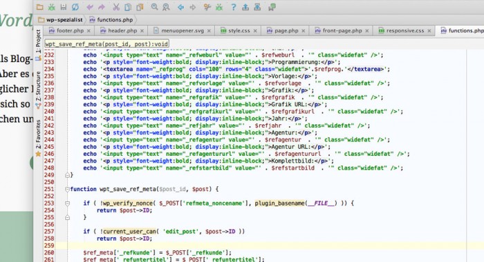 WordPress Programmierung