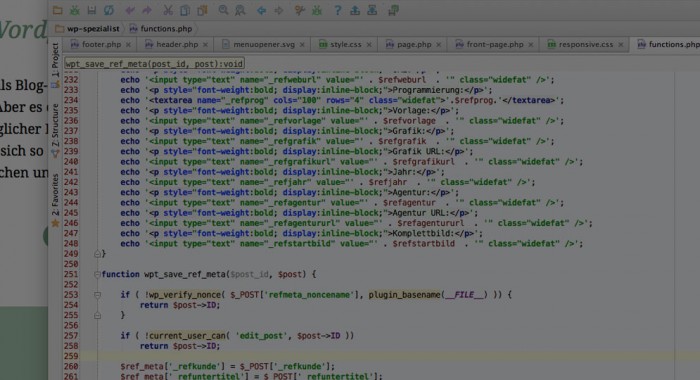 WordPress Programmierung
